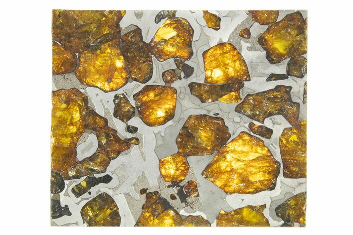 Polished Imilac Pallasite Meteorite ( g) Slice #315427